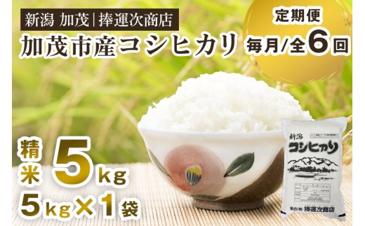 【令和7年産】【定期便6ヶ月毎月お届け】加茂市産コシヒカリ 精米5kg 《順次出荷》 こしひかり 新潟米 お米 白米 ライス ご飯 加茂市 捧運次商店