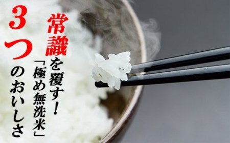 【3ヵ月定期便】こだわりの無洗米でおいしく簡単！「仁井田米にこまる」5kg 米 こめ コメ 農家 こだわり お米 おこめ ブランド米 3回 高知県産 5キロ 白米 ／Sbos-A01