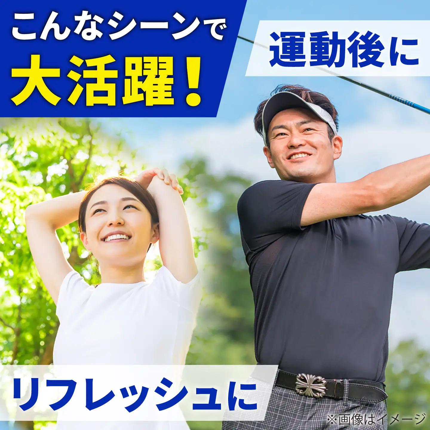 【全12回定期便】強炭酸水 プレーン 500ml × 24本 糸島市 / スターナイン [ARM011] 炭酸水 定期便