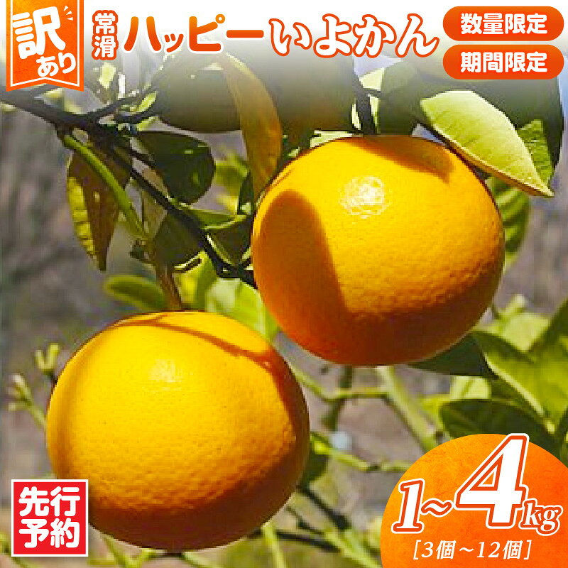 【ふるさと納税】先行予約【 訳あり 】＼数量限定／常滑ハッピーいよかん【選べる！1kg または 3〜4kg】いよかん 果物 みかん 柑橘 フルーツ 季節のフルーツ お取り寄せ【2027年1月中旬～順次発送】送料無料