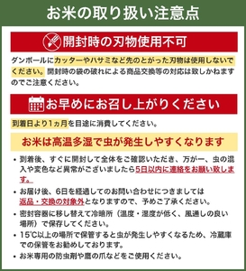 和歌山県産 キヌヒカリ 5kg（2025年産・令和7年産） 産地直送 【sml400-kinu-5D】