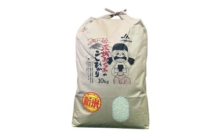 【令和7年産】茨城県産コシヒカリ 精米 10kg お米 米 コメ こめ おこめ 白米 ごはん ご飯 コシヒカリ こしひかり 茨城県 守谷市