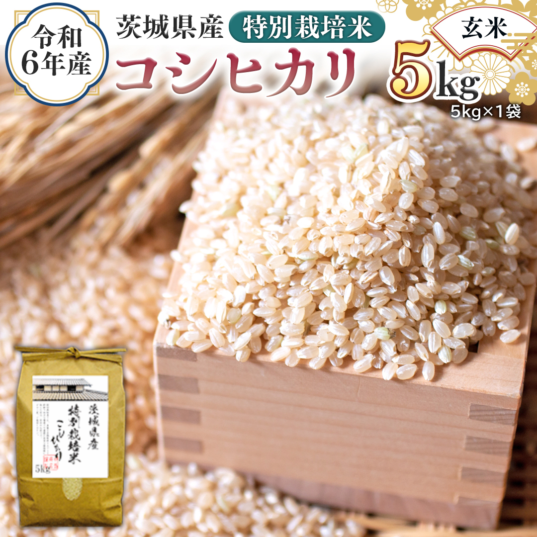 令和6年産 茨城県産 玄米 特別栽培米 コシヒカリ 5kg （5kg×1袋） こしひかり 米 コメ こめ 単一米 限定 茨城県産 国産 美味しい お米 おこめ おコメ [EH10-NT]