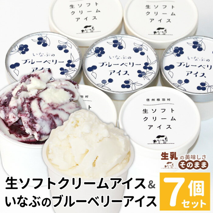 【ふるさと納税】〈1週間以内発送〉着色料・香料不使用！生ソフトクリーム＆稲武のブルーベリー 7個入り80ml 生乳 ブルーベリー ソース ソフトクリーム 無農薬 スイーツ 果物 マーブルアイス 人気 ギフト