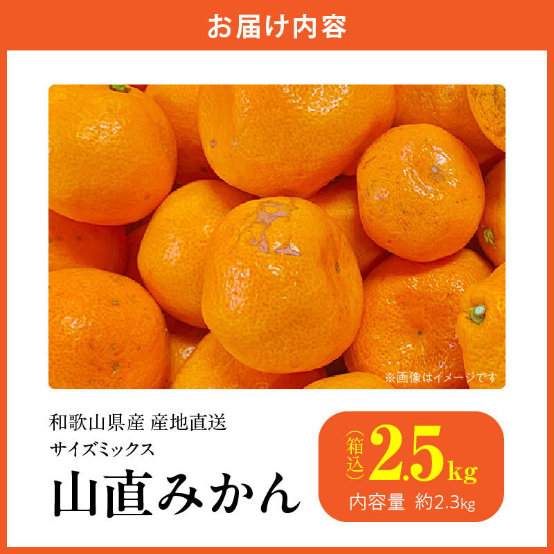 MK1037_【2025年先行予約】みかん 山から直送 箱込 2.5kg ( 内容量 2.3kg ) 鮮度優先ごろごろ規格 和歌山県産 産地直送 【みかんの会】