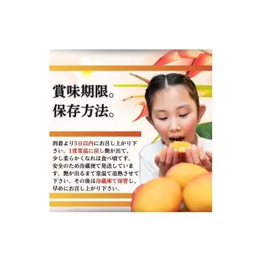 ＜予約受付＞完熟アップルマンゴー 3~6個 約2kg 