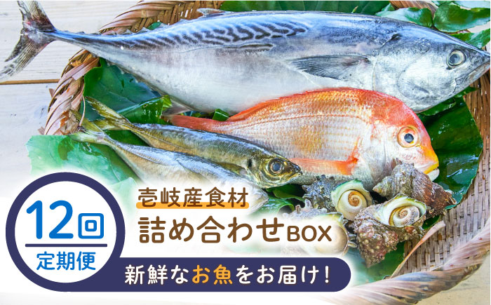 【全12回定期便】壱岐産食材詰め合わせBOX「魚」 [JBF023] 264000 264000円 24万円