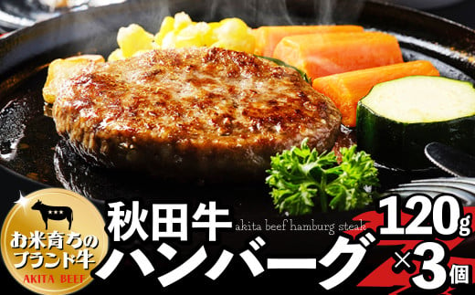 秋田牛ハンバーグ120ｇ×3個セット 60P2603