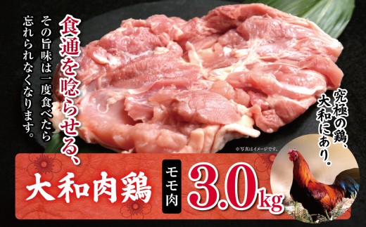 AM5 大和肉鶏 モモ肉 3.0kg | 大和かしわ 鶏 肉 にく もも かしわ 鶏肉 とり 奈良県 大淀町