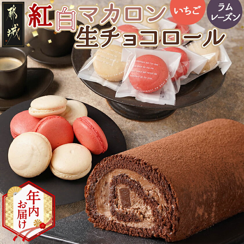 【ふるさと納税】【年内お届け】紅白マカロン＆生チョコロール≪2025年12月15日〜31日お届け≫ - 紅白マカロン いちご ラムレーズン 生チョコロール スイーツ アソート 期間限定 年内お届け 年内発送 送料無料 AC-C205-HNY 【宮崎県都城市は2年連続ふるさと納税日本一！】