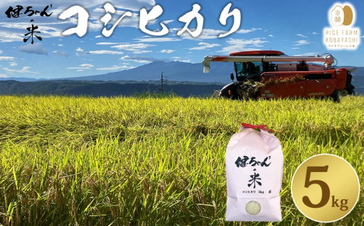 【R7年産新米】米・食味鑑定分析コンクール特別優秀賞受賞！冷めても美味しい健ちゃんちの米（コシヒカリ）　5kg｜ライスファーム小林　※2025年10月中旬以降発送予定