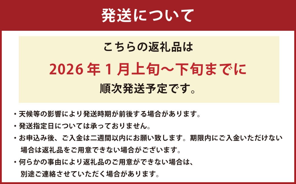熊本県 河内産 みかん 青島 5kg 有機肥料使用