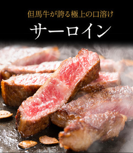 【極上 丹波篠山牛】 サーロインステーキ （5枚入） サーロイン AB16