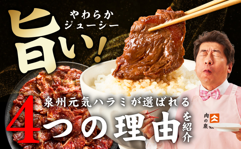 牛ハラミ 1.5kg（300g×5P）【秘伝の赤タレ 泉州元気ハラミ 牛肉 はらみ 小分け 焼肉 お弁当 BBQ 訳あり ワケアリ わけあり サイズ不揃い 規格外 TVで話題】 099H4565