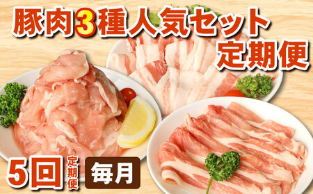 豚肉 人気セット定期便［5回・毎月］ 【 人気セット 】