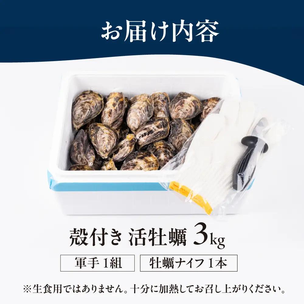 【数量限定】殻付き 生牡蠣（加熱用）3kg　| 軍手・牡蠣ナイフ付