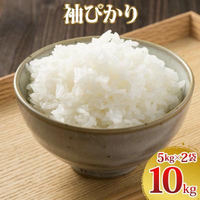 ふるさと納税 袖ケ浦市 令和7年産 袖ぴかり(コシヒカリ)精米 10kg(5kg×2)