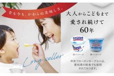 アイス フローズンヨーグルト 12個 アイス 1年 定期便　