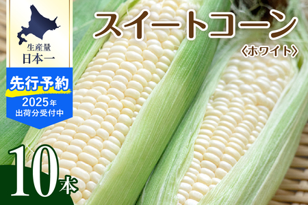 【2025年分先行予約】北海道十勝芽室町 とうもろこし 10本 ホワイト種 とうもろこし トウモロコシ 北海道 十勝 芽室町 生 野菜 人気 キャンプ飯 BBQ ソロキャン お取り寄せ me002-0