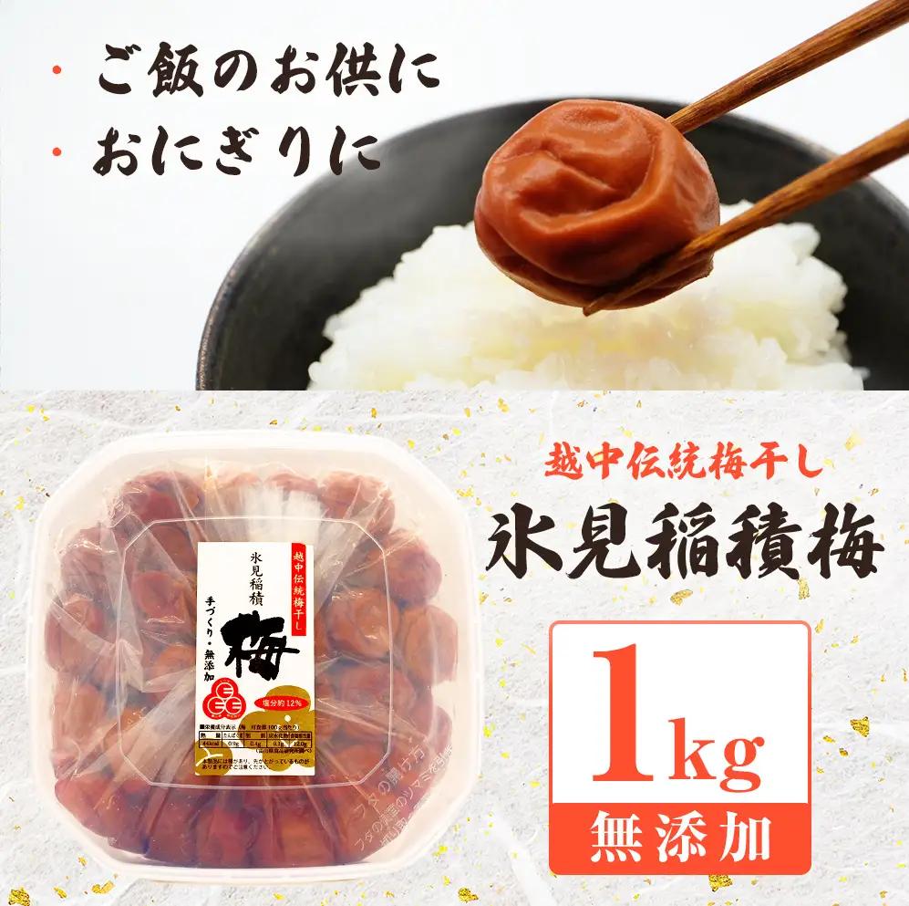 越中伝統 梅干し 氷見稲積梅 1kg （塩分約12%）｜富山県固有種 稲積梅 梅干し 添加物不使用 手作り  