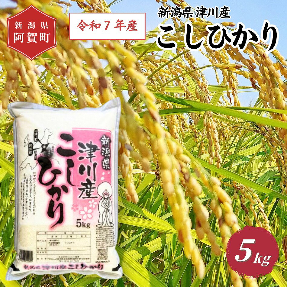 【ふるさと納税】 《コシヒカリ 新潟県 津川産》 米 5kg 新潟県産 コシヒカリ 令和7年 新米 5kg × 1袋 | 白米 精米 こしひかり 送料無料 お取り寄せ お米