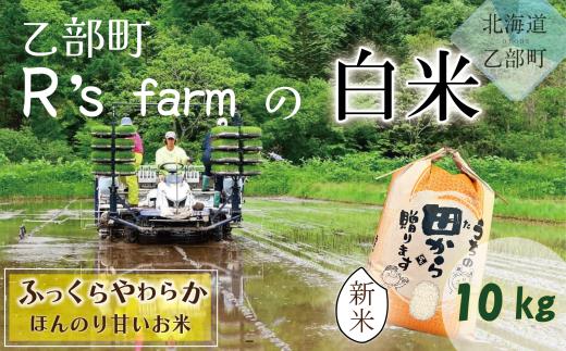 ＜北海道の米(10kg)～ふっくらつややか！若い農家が作る米～＞米 国産米 北海道 道産 道産米