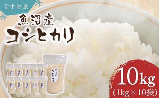 コシヒカリ 魚沼産 令和7年産 雪中貯蔵 魚沼産コシヒカリ こしひかり 10kg アグリたかの | 新潟県産コシヒカリ お米 米 新潟県産こしひかり おこめ こめ コメ 白米 精米 魚沼産 ブランド米 コシヒカリ10キロ 【0055-0009-01】