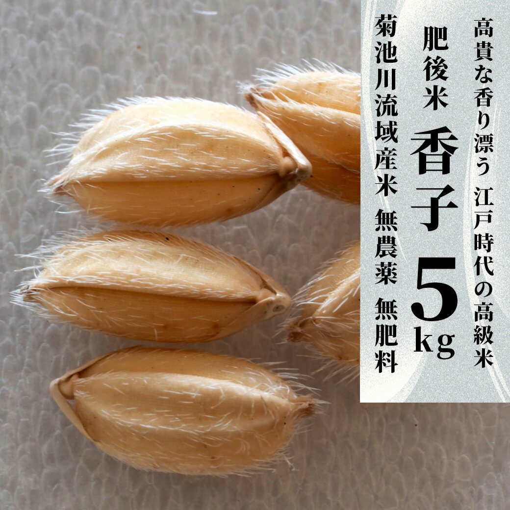 【ふるさと納税】 香子 5kg | 熊本県 和水町 くまもと なごみまち なごみ 米 お酒 酒 あか酒 地酒 花の香酒造
