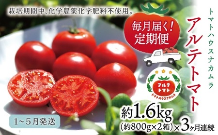 ＜2026年1月～5月頃まで発送＞アルテトマト 定期便 約1.6kg×3ヶ月連続 フルーツトマト 合計4.8kg 高知県 佐川町 トマトハウスナカムラ 野菜 贈答用【常温】栽培期間中化学農薬・化学肥料不使用 
