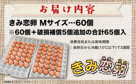 新鮮赤卵「きみ恋卵」60個_AA-2911_(都城市) 赤玉子 Mサイズ 60個 きみ恋卵 冷蔵 チルド 赤たまご 河中農園 取れたて新鮮たまご タマゴ たまご 鶏卵 お菓子作りにも最適