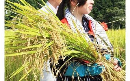 特別栽培米 あきまつり 10kg 岩国地域米(エコ50)【國光米穀店】