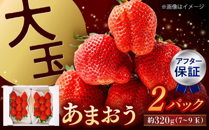 
                  【2027年度先行予約】 あまおう 大玉 約320g×2パック 合計 約640g ▼フルーツ先行予約 先行予約 あまおう アマオウ amaou strawberry いちご イチゴ 苺 フルーツ 旬 果物 産地直送 新鮮 甘い 完熟 ブランド 人気 おすすめ おいしい 大粒 贈り物 ギフト 贈答 プレゼント 通販 送料無料 九州 福岡 桂川町/高嶋園芸[ADAT002]
                