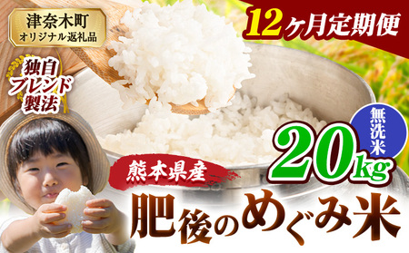 【12ヶ月定期便】熊本県産 無洗米 ブレンド米 肥後のめぐみ米 20kg 熊本県産 ふるさと納税 精米 米 こめ ふるさとのうぜい コメ お米 おこめ《申込み翌月から出荷》
