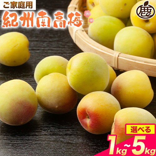 【ふるさと納税】家庭用 紀州南高梅 選べる 1kg 2kg 3kg 5kg 梅干し 梅酒 梅ジュース 池田鹿蔵農園《6月上旬-6月末頃出荷予定》和歌山県 日高町 南高梅 完熟 青梅 送料無料【配送不可地域あり】