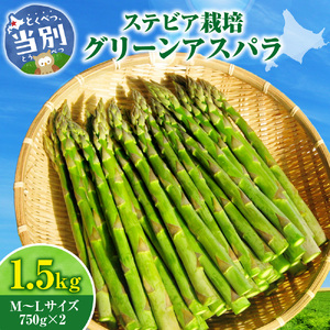 【2026年先行予約】　ステビア栽培グリーンアスパラ1.5kg 北海道 当別町 グリーンアスパラ アスパラ 　《2026年5月下旬-6月中旬頃出荷》