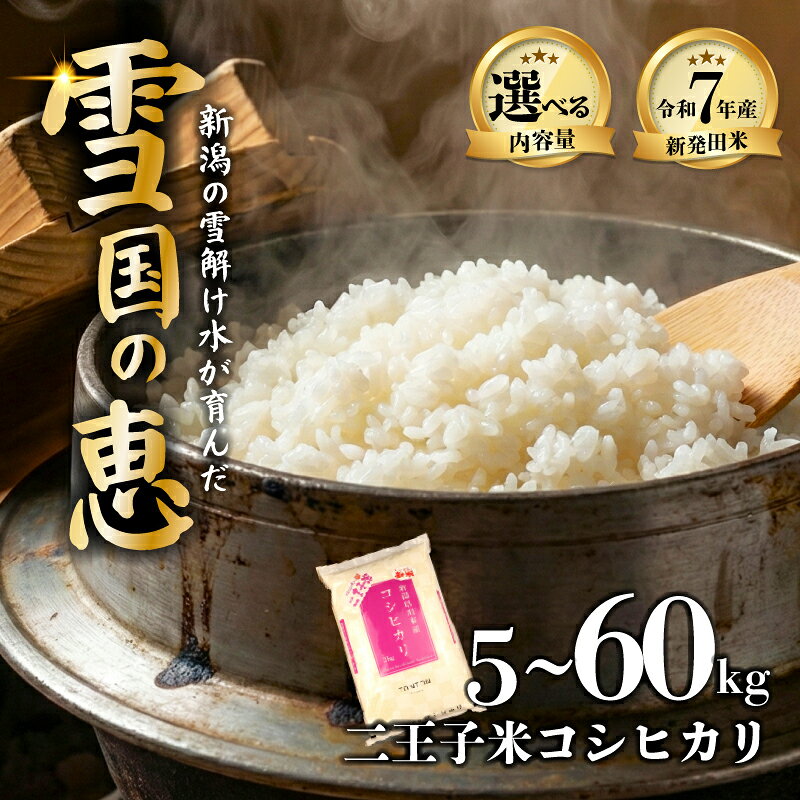 【ふるさと納税】【選べる容量】令和7年産 新潟県産 コシヒカリ 5kg 10kg 30kg 単品 定期便 3ヶ月 6ヶ月数量限定 特別栽培米 米 お米 精米 こしひかり 二王子米 精米 白米 ご飯 おにぎり 弁当 せいだ とんとん市場 ブランド米 人気米 玄米 新潟県 新発田市 seida002P