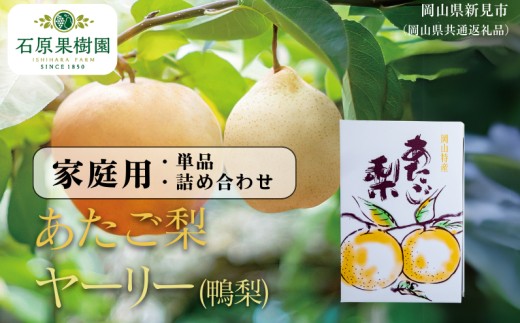 
                  セットを選べる！家庭用 自宅用 あたご梨 ヤーリー(鴨梨) 青秀 単品／詰め合わせ【先行予約 2026年11月中旬から順次発送】
                
