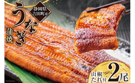 
            うなぎ 国産 静岡 うなぎ蒲焼 150g 以上× 2尾 タレ 山椒 付き [大井川うなぎ 静岡県 吉田町 22424464]  鰻 ウナギ うなぎかば焼き うなぎ蒲焼き 鰻蒲焼 鰻蒲焼き ウナギかば焼き 真空パック 蒲焼 タレ たれ 静岡県産 unagi
          