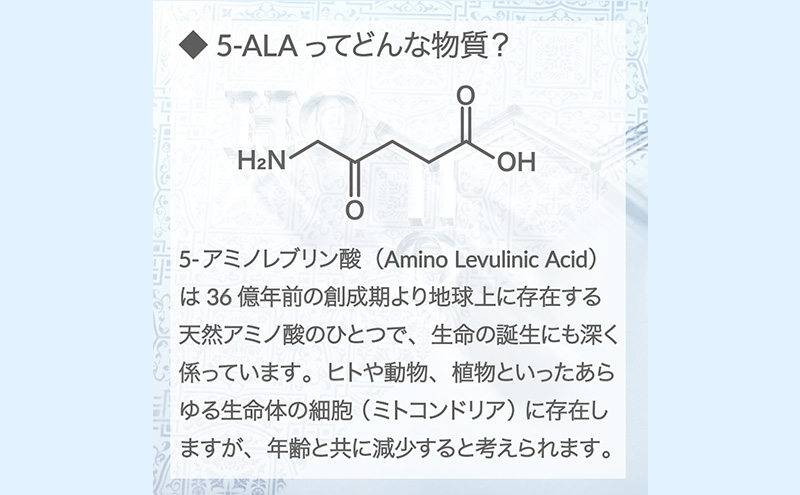 アラヴァイタル（5-ALAサプリメント）30粒入り おまとめ4個セット 健康食品 アミノ酸 健康 ヘルシー  美容 人気 厳選  袋井市 加工食品 天然アミノ酸 亜鉛 鉄 ナイアシン ビオチン 栄養補給食品 