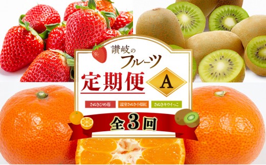 
                  フルーツ 定期便 3回 香川県産 讃岐 さぬき さぬきひめ苺 いちご 苺 温室さぬき小原紅 紅みかん みかん 柑橘 さぬきキウイっこ キウイ 化粧箱 約1kg 約1.2kg 約800g 果物 くだもの 旬 2月発送 7月発送 11月発送 香川県 東かがわ市
                