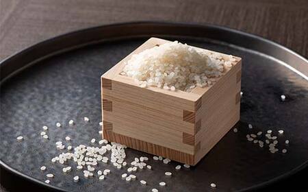 【定期便3回】令和7年度 山形県産 雪若丸 10kg(5kg×2)×3回 合計30kg 精米  F2Y-6800