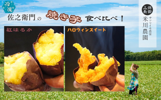 米川農園 佐之衛門 の 焼き芋 食べ比べセット【 紅はるか （400g×2袋）×ハロウィンスイート （400ｇ×2袋）】 計1600g 冷凍 焼きいも 1.6kg 食べ比べ 国産