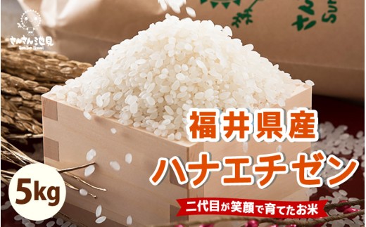 【先行予約】【令和7年産・新米】ハナエチゼン 5kg 華越前 ～坂井市三国町産・こだわりの精米対応～（玄米）【2025年8月下旬以降順次発送予定】 [A-0255_04]