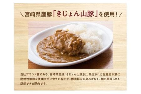 惣菜 きじょん山豚ハンバーグカレー9食分（180g×9袋） 惣菜