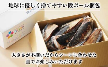 B級品 訳あり かつおのたたき 3kg 10000円 フードロス 削減 打ち身 皮はげ 傷 かつお サイズ 不揃い 規格外 小分け 真空 パック 鮮魚 天然 鰹 四国一 水揚げ タタキ 冷凍 大容量 