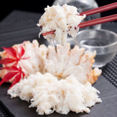 本ずわい蟹 爪・肩肉食べ比べセット 1kg　各500g　カニ鍋・焼きガニ【配送不可地域：離島】