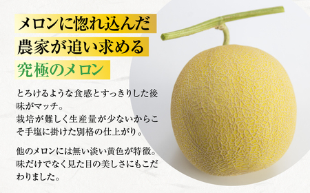 極上メロン 渥美の陽光-HIKARI-　2玉