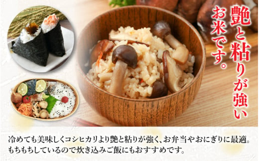 【先行予約】【令和8年産】定期便 ≪3ヶ月連続お届け≫ 化学肥料不使用 特別栽培米 ミルキークイーン 精米 5kg × 3回（合計15kg） / 白米 米 福井県あわら市産 美味しい 特別栽培米 減農