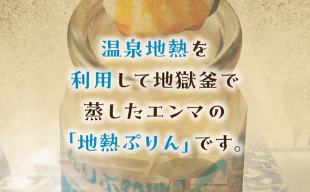 ちょっと大人のほろ苦ぷりん☆別府名物地獄蒸し！（6個入り）_B091-003