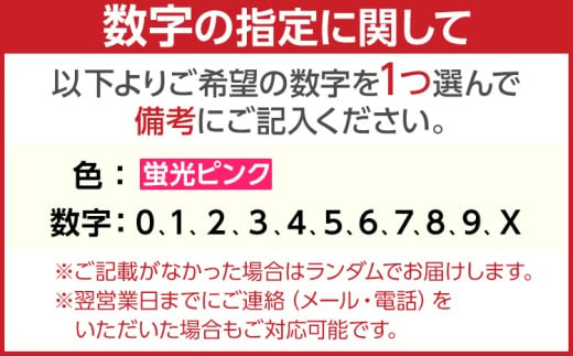  【蛍光ピンク】アクリルナンバーチャーム